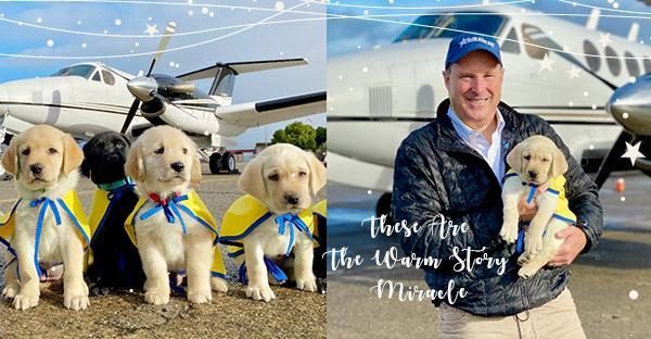 航班銳減，暖心飛行員自願接送幼年服務犬，將「溫暖的奇蹟」送向全世界