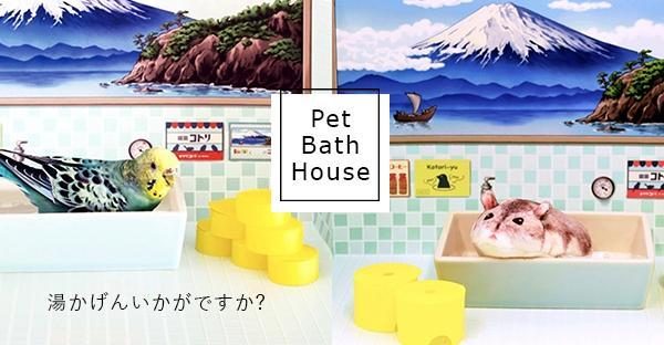 洗個熱水澡！復古可愛「富士山寵物浴池」熱騰騰登場，小鳥和倉鼠請入內泡澡吧！