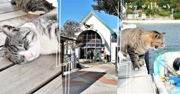 ネコ好きなら行くべき宮城県「田代島」。アクセス、ネコスポット紹介