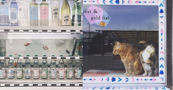 奈良は鹿だけじゃない！金魚とお城の町、自動販売機から改札口まで金魚でいっぱい！