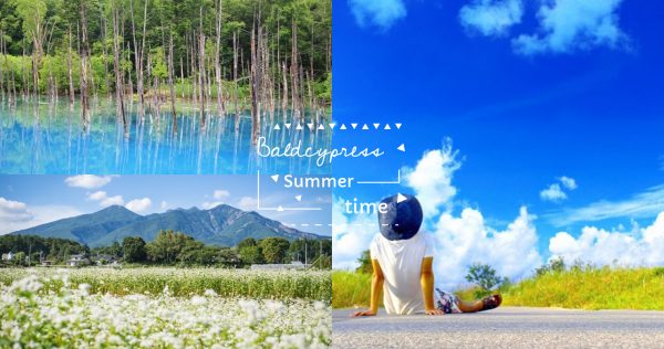 祭り、絶景、グルメを楽しむ！夏でも涼しい日本の観光地7選