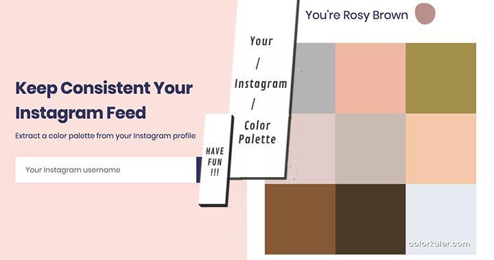你的2019是什么颜色？用Instagram分析你的「代表色」，专属于你的「排版色调」一看就懂！