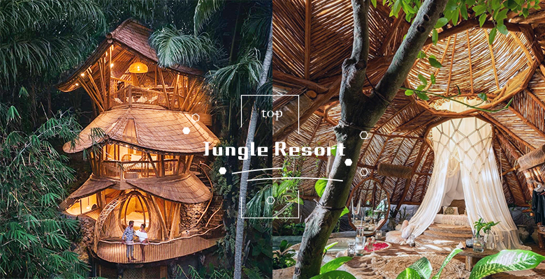入住丛林仙境的绝美景致，这4间震撼视觉的「隔世度假村」赶快列入人生清单之中！