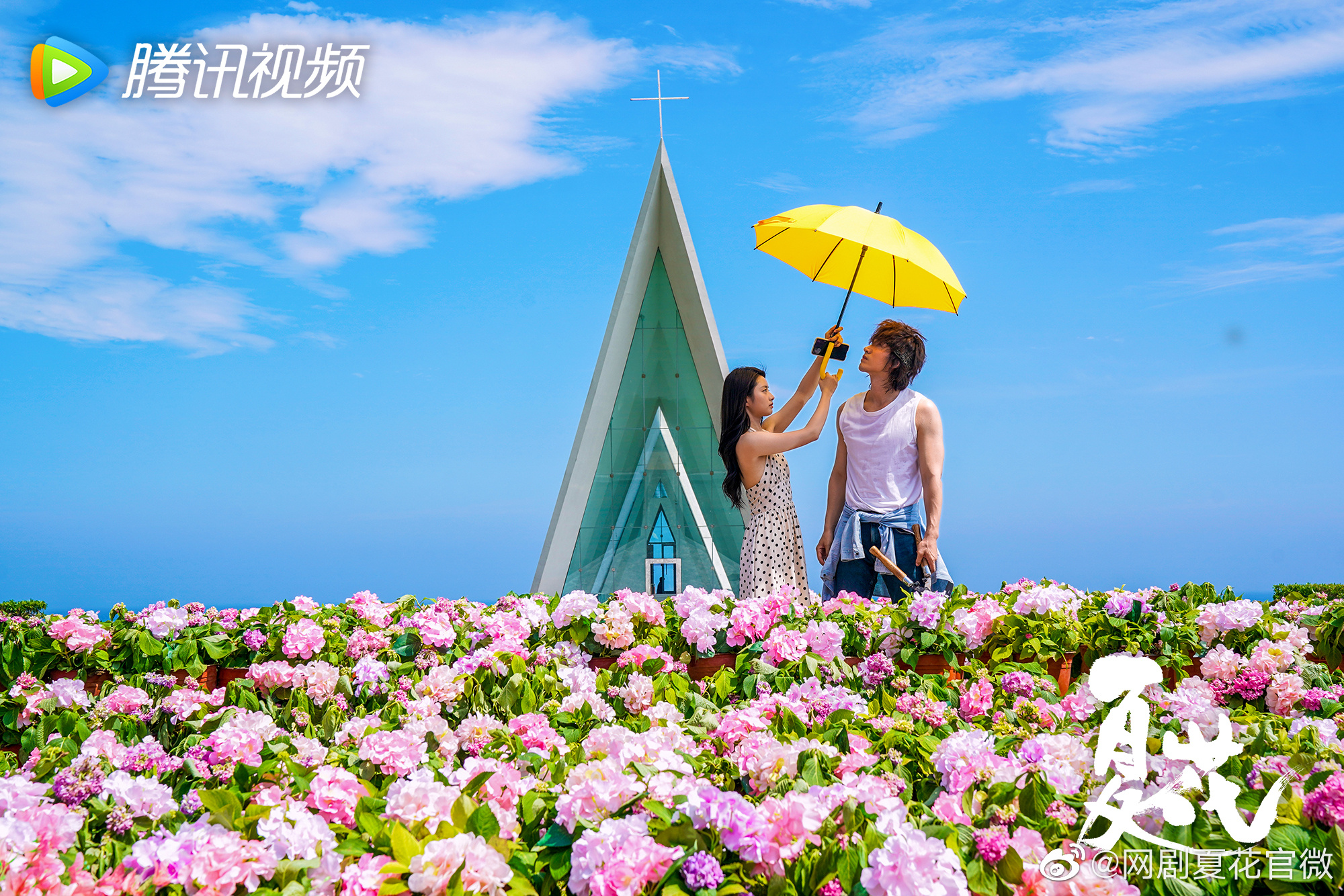 不只有虞书欣、王鹤棣《苍兰诀》!盘点「甜虐陆剧」推荐,言承旭《夏花》成人式恋爱有多甜就有多虐!