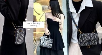 【精品入门】TOP 5 值得入手的「Dior入门包款」，小资女们的时尚攻略！