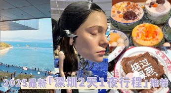 2025最新「深圳2天1夜」玩法！吃喝玩乐精华就看这篇，超适合来趟短旅行！